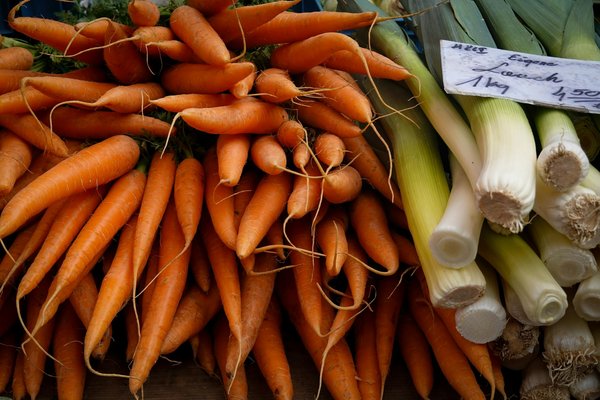 Choix du verre idéal pour apprécier le sancerre blanc